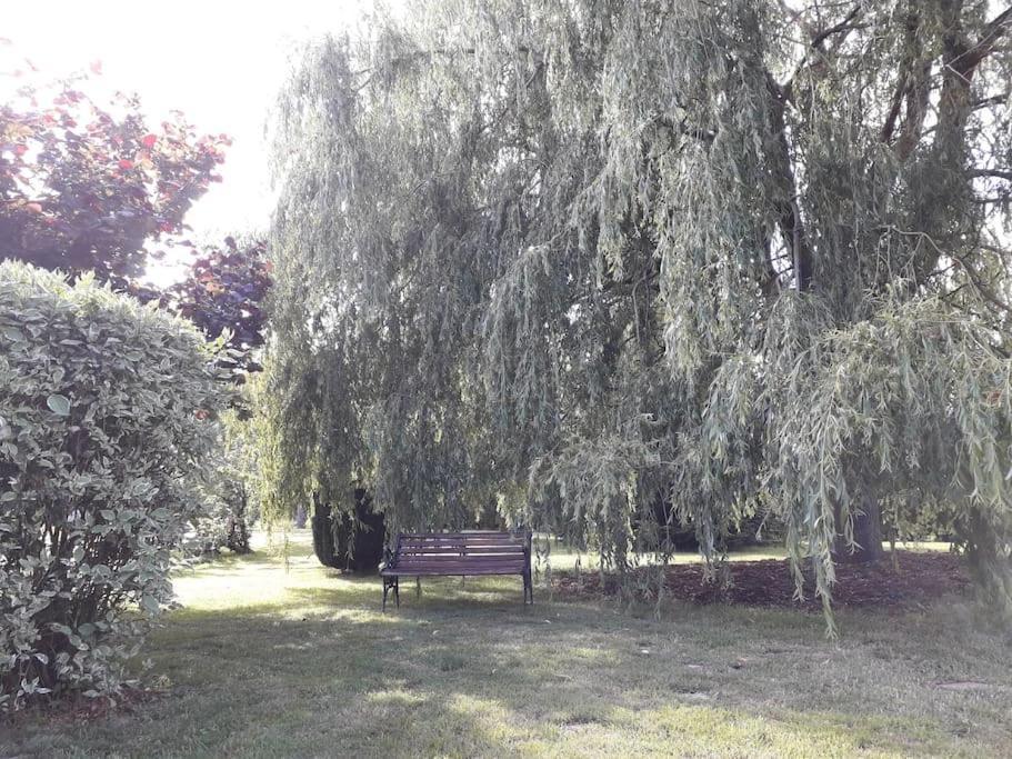 Un Petit Coin De Paradis Clairfontaine Екстер'єр фото